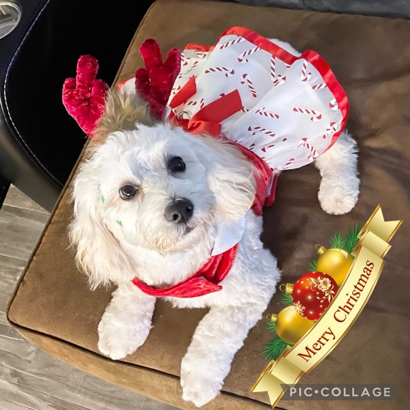 Meet your Posher, Maricel - Picture 3 of 5